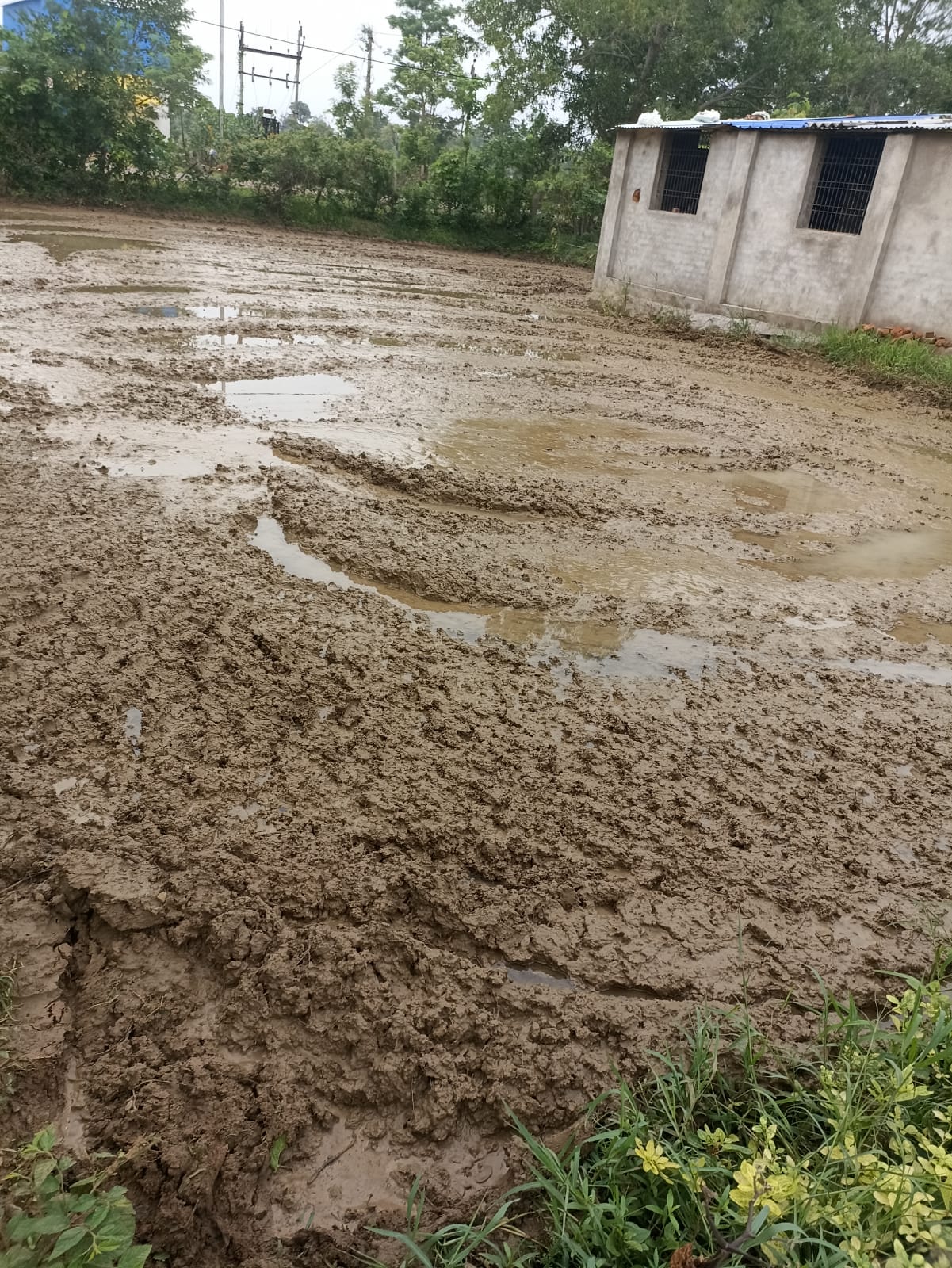 Farming Practical Development